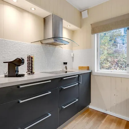 Family Downtown * טרומסה